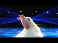 Chicken Disco | Ringtones graciosos